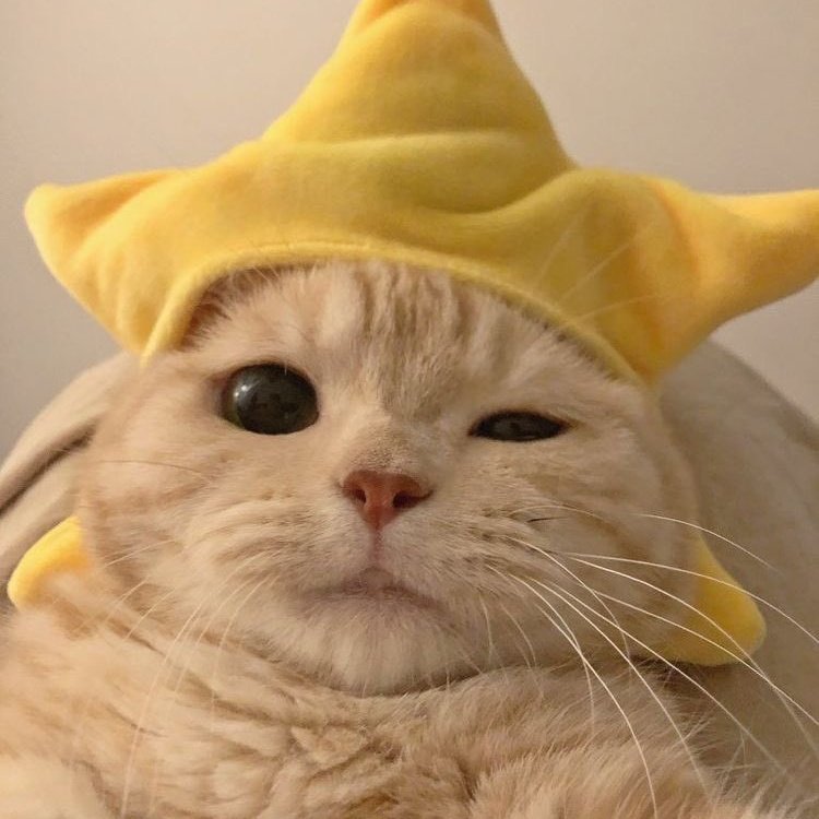 your_diaaa's tweet image. #NewProfilePic