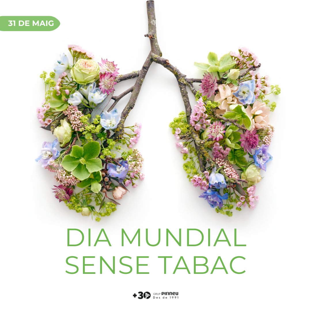 El #DiaMundialSenseTabac és una oportunitat per destacar els efectes nocius del tabac i promoure un estil de vida més saludable i lliure de fum. #Fem_Prevenció #FemFormació #UnidaQP #GrupPirineu #AjudemaMillorar