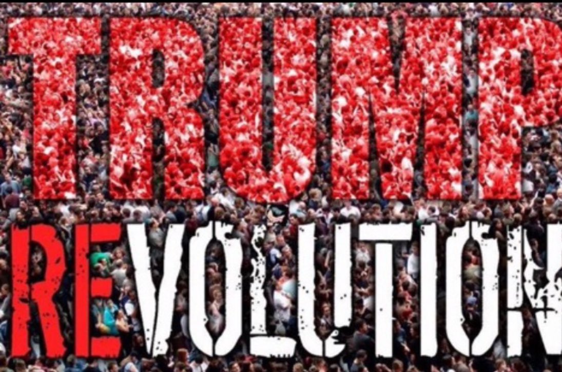 @les__deplorable: RT @les__deplorable: @dbongino @WarlordDilley #TrumpRevolution https://t.co/Lw16tSLJl6
