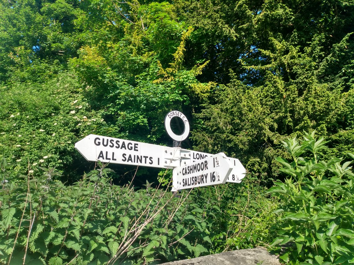 This sign is in the Dorset village of Gussage St Michael. #FingerpostFriday