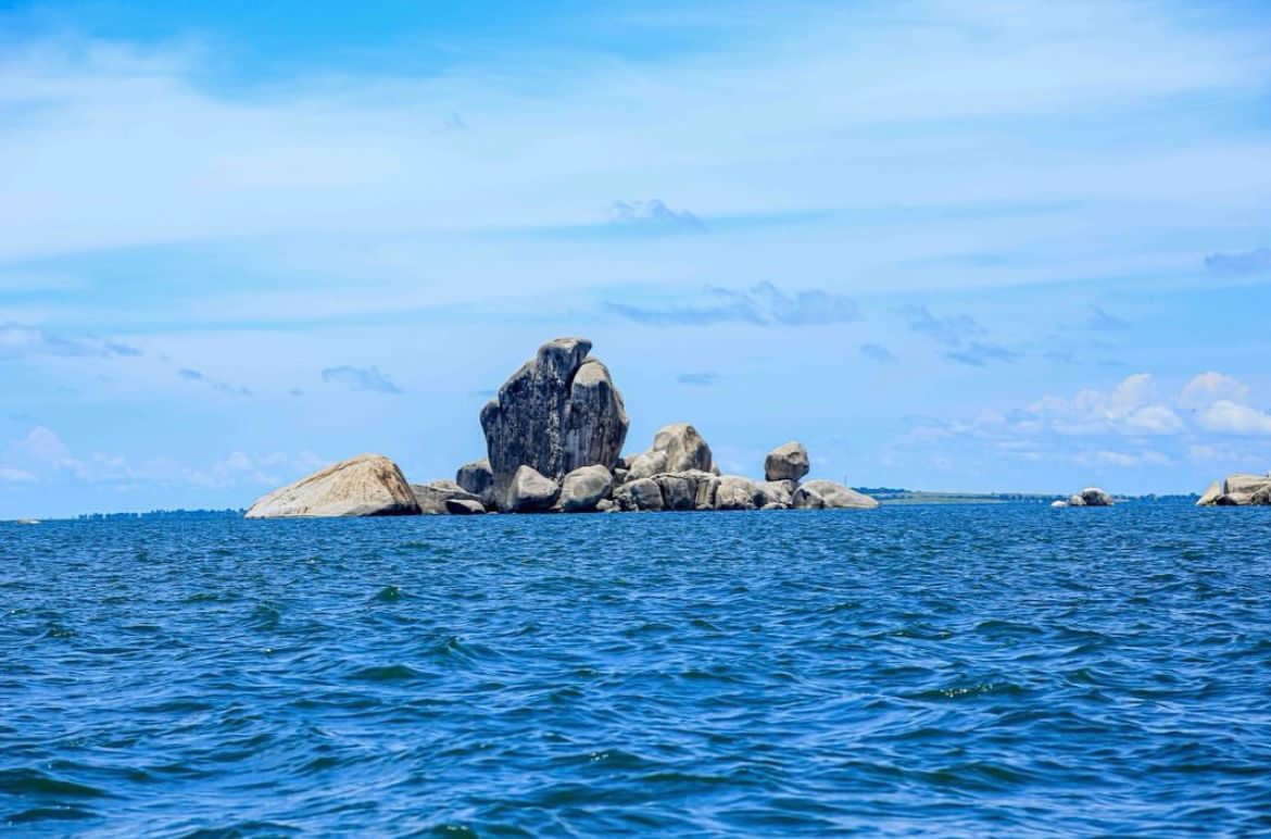 Andeleya tweet media