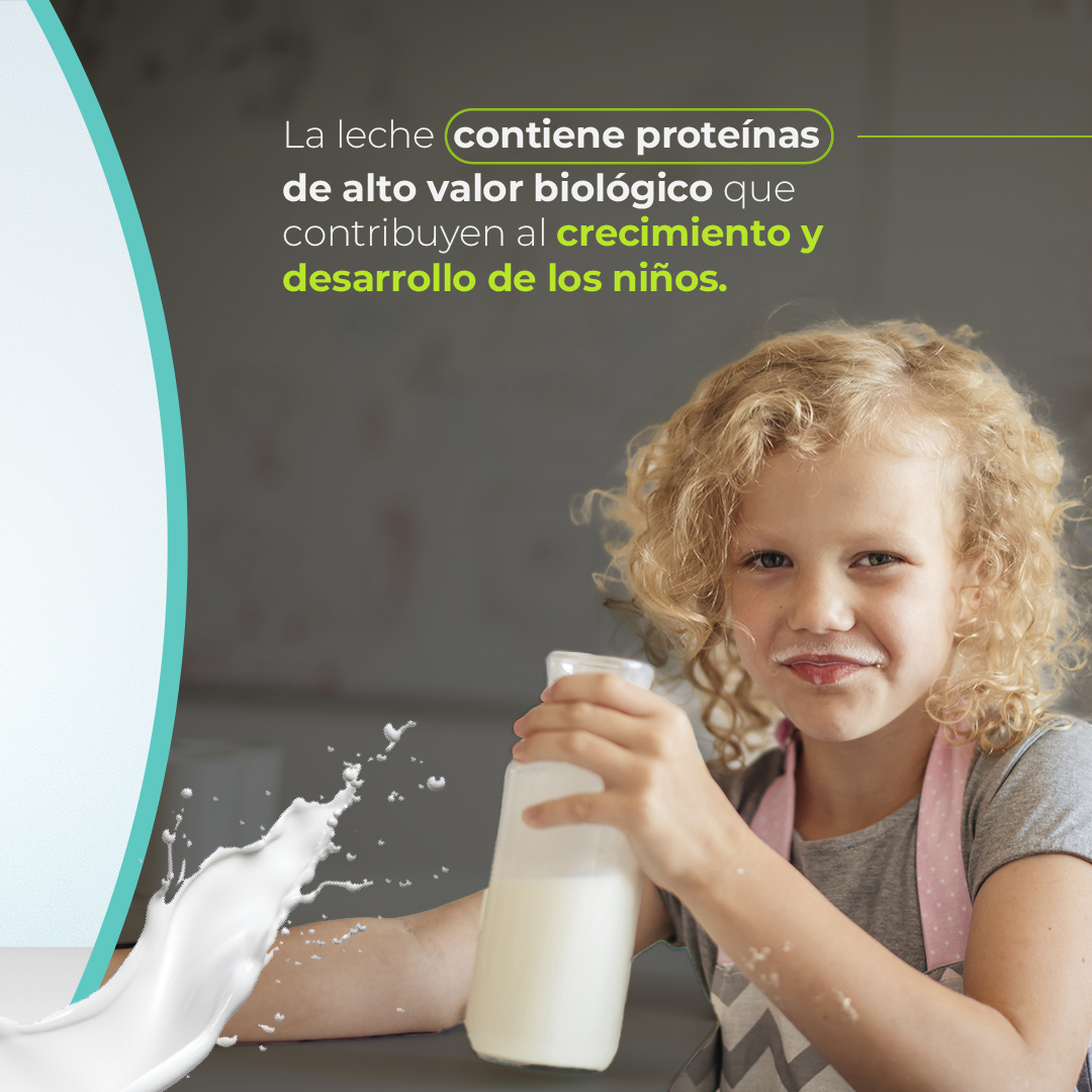 AlfaLactix's tweet photo. Estamos por celebrar el Día Mundial de la Leche este 1ero de Junio, y te compartimos solo algunas (DE LAS MILLONES) de razones para celebrar este valioso alimento 🐄🥛🌎

#DiaMundialDeLaLeche #WorldMilkDay #EnjoyDairy #Lattechmx https://t.co/HvsHWylS2I