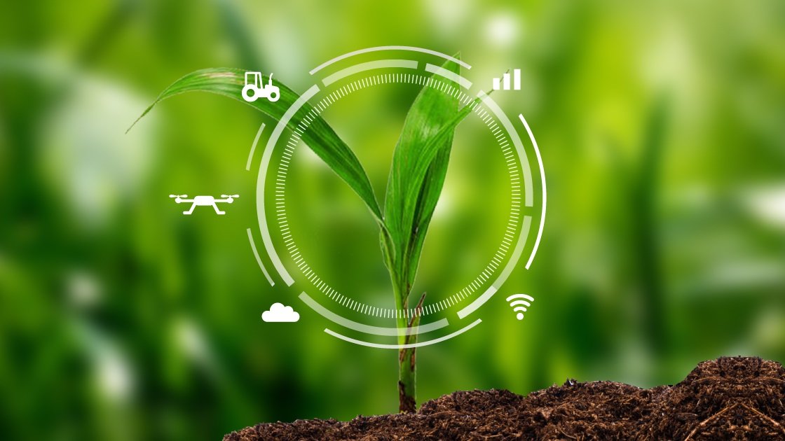 🌾 As we dig deeper into what #agritech offers, it's exciting to think about how these innovations will shape the future of #farming. Have a look at the prominent trends shaping the agritech market: bit.ly/43xVv5j

#SustainableFarming #AgriculturalTech #SmartFarming