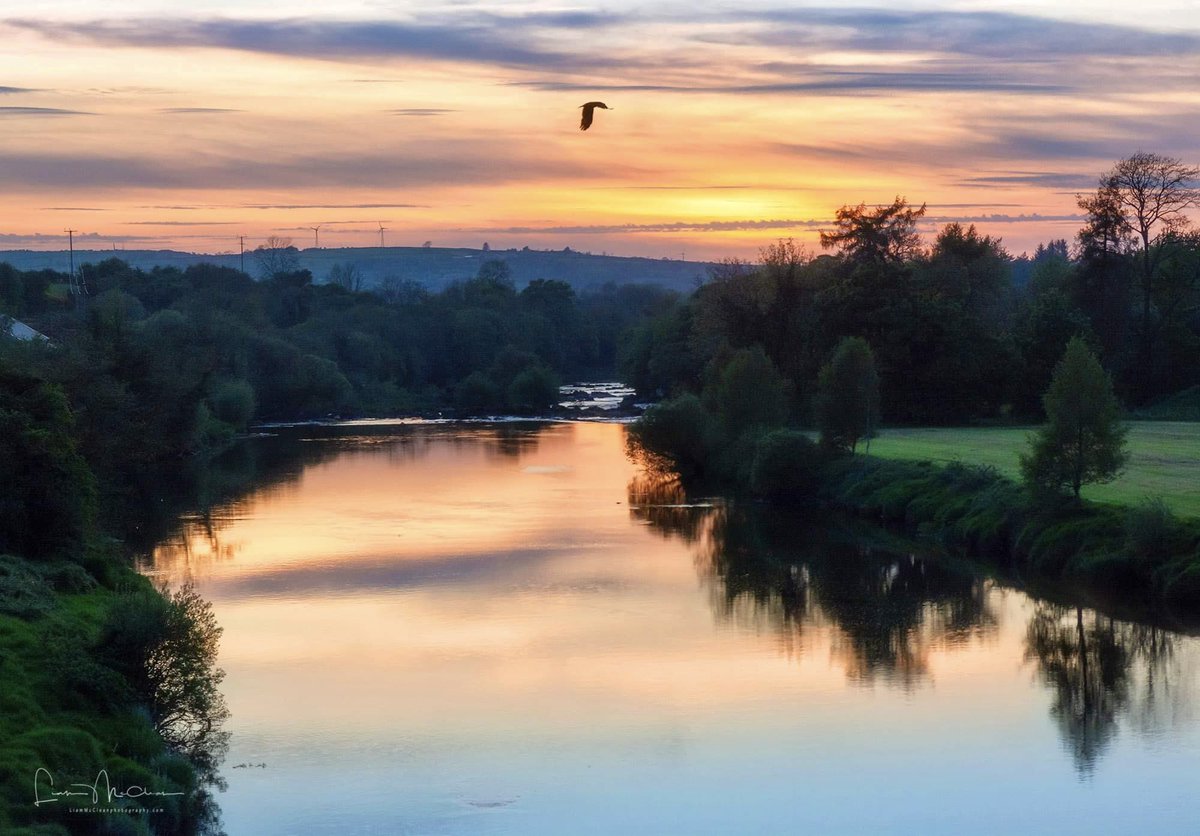 Sunset over the Strule River near Newtownstewart. Perfect timing from the bird! @WeatherCee @angie_weather @bbcniweather @barrabest @Louise_utv @WeatherAisling #sunset #Reflections