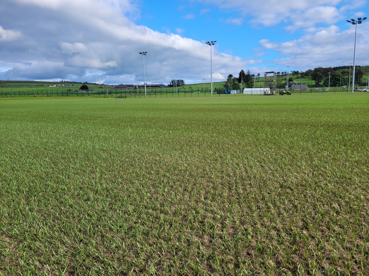 Hybrid pitch seeded last night <a href="/AberdeenFC/">Aberdeen FC</a> training ground. 🌱