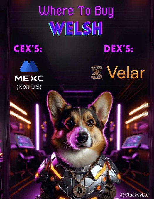 #Welsh - The CEX can't ignore #Welsh - people want to buy it - So #Gate #Binance #Coinbase #Kucoin etc. uses the opportunity to list #Welsh - 25 MCA - 10,000,000,000 coins - Nakamoto Upgrade - #Welsh x100 - x1000