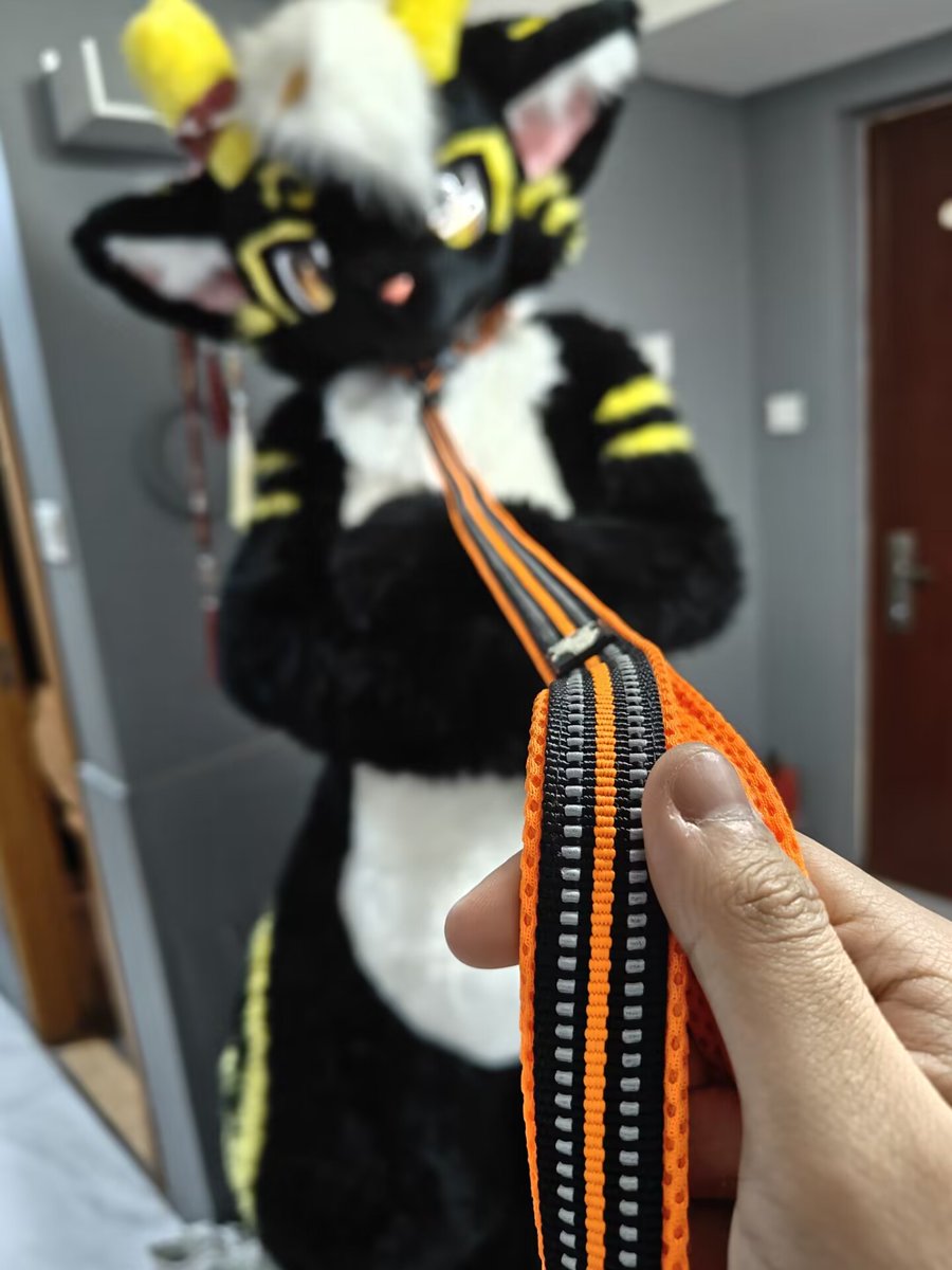 幻龙→极兽聚！ tweet media