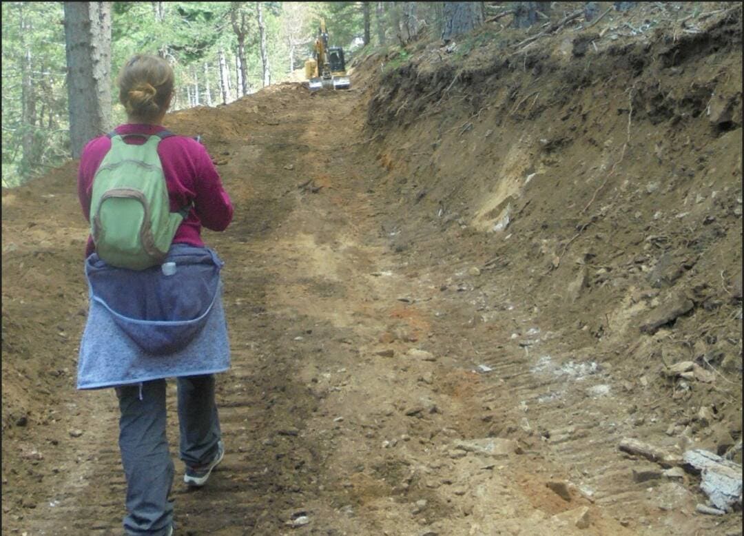 Las denuncias presentadas y la alarma social creada obligan a @medioambientecm a paralizar la construcción de la pista forestal en la ladera sur de la Najarra, en el #PNGuadarrama. Los daños son irreversibles, y nos preguntamos cómo ha podido ocurrir esto.
ecologistasenaccion.org/317894/medio-a…