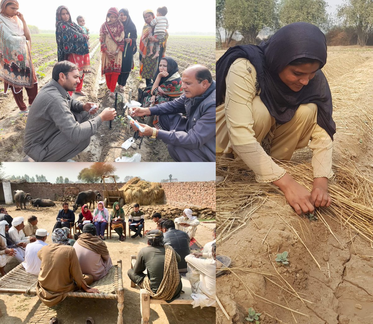 In #Pakistan,  <a href="/ACIARAustralia/">ACIAR</a> aims to achieve more productive &amp; sustainable agricultural systems by incorporating both females &amp; males whether in village communities or in research teams. <a href="/AusHCPak/">Neil Hawkins</a> <a href="/ACIARCEO/">ACIAR CEO</a>