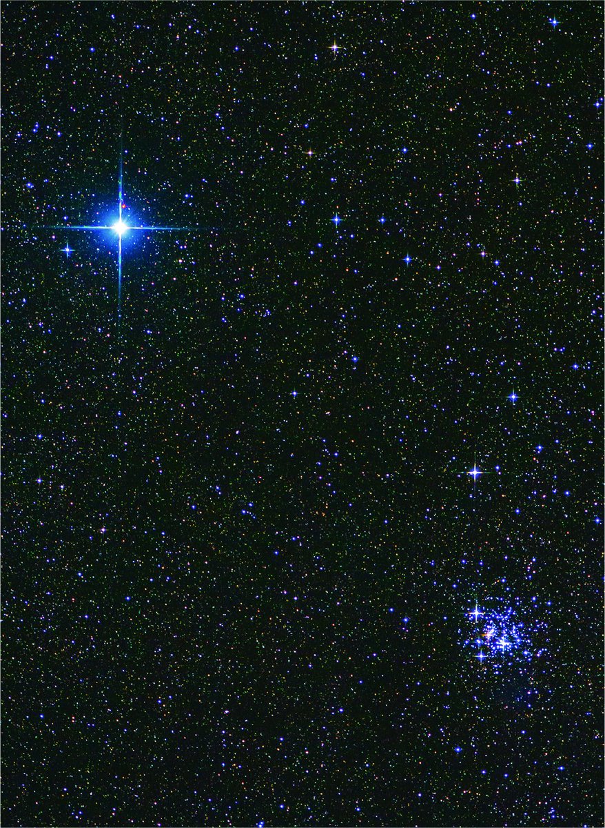 みなみじゅうじ座の星ミモザを天体望遠鏡を使ってクローズアップ撮影した写真です。

ミモザは地球から約278 光年の距離にあり、青白く輝いています。ミモザのすぐ西南に輝くのは宝石箱と呼ばれる散開星団（NGC4755）です。

※写真は北を左側にしています。

撮影者：榎本 司
撮影地：オーストラリア