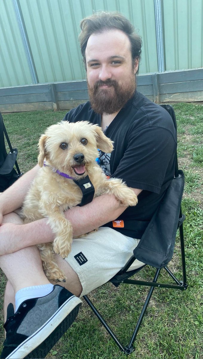 BloodyDrongo tweet media