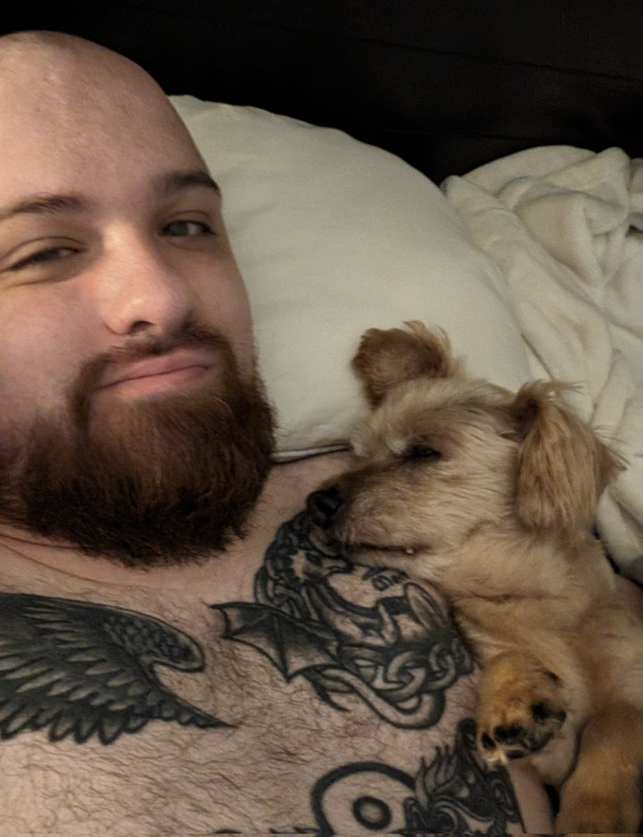 BloodyDrongo tweet media