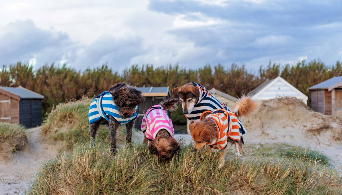 Want your canine to be as snug as a bug this Winter? ☔ Nothing beats these nifty drying robes from @HarbourHounds Available in a range of sizes to fit all breeds these snuggly robes are perfect for a post walkies warm up! dotty4paws.co.uk/product/harbou… #EarlyBiz #MHHSBD