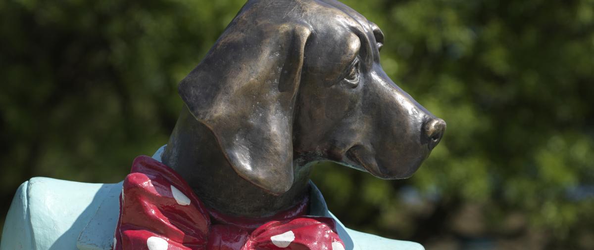 Kuvanveistäjä Kerttu Horilan Espoon kaupungille 50-vuotislahjaksi 2022 tekemän Nelli-veistoksen seuraan voi istahtaa 1.6.2024 alkaen Sellon Viaporintorilla. Nellin tulojuhlaa vietetään lauantaina klo 14.00-14.30 osana Sellon #kesäterassi'n avajaisia. 🌞sello.fi/info/ajankohta…