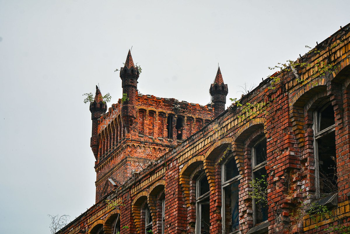 Digital Cosmonaut tweet media