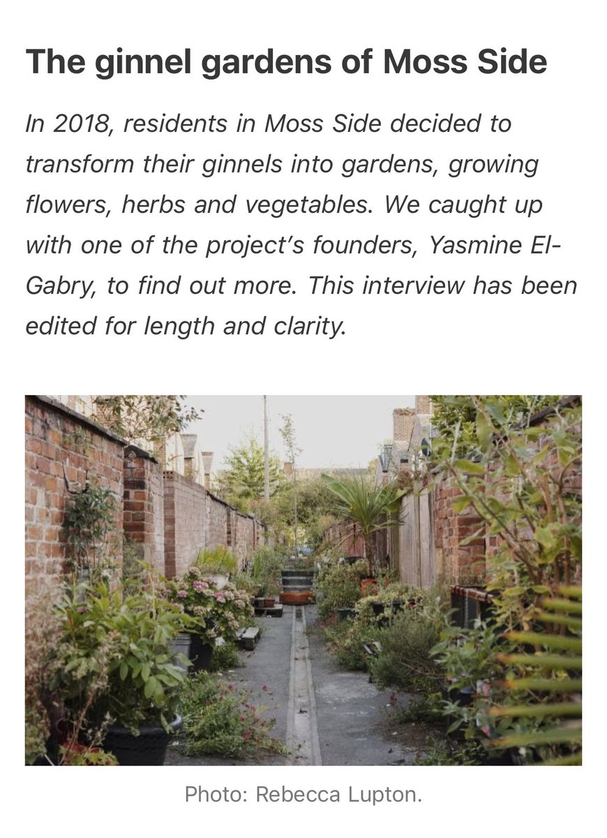 Julie Wilson tweet media