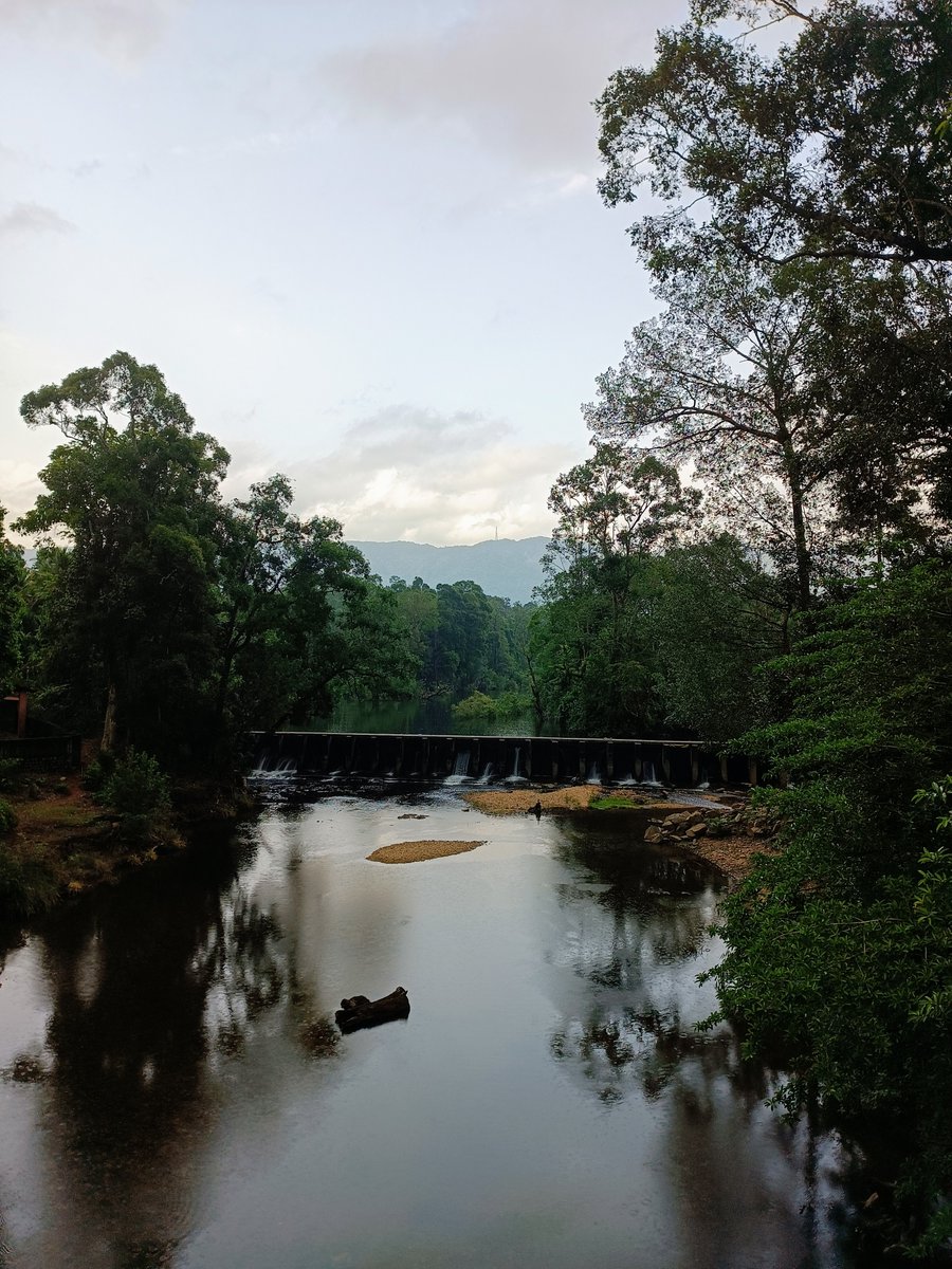 ByTheRiverTunga's tweet image. View of a splendid Gateway to the Ghats . . .  Nature's beauty shines through, even with a couple of uninvited ugly human interventions (One is evident, ZOOM in to see the other). 

#MountainEscape #Streamside #NatureAlwaysWins #Agumbe #Udupi #Chikkamagalur #Karnataka @VisitUdupi