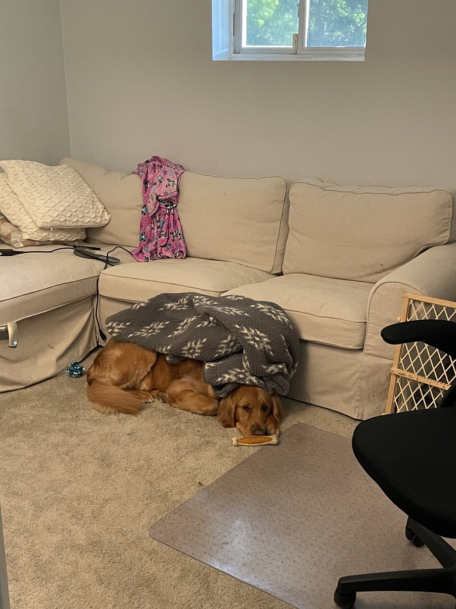 JaberChefDC's tweet photo. Dad is working from home. Ted’s day is made, all bundled up and hanging with pop @ajaber75 https://t.co/NgwPKfNiHl