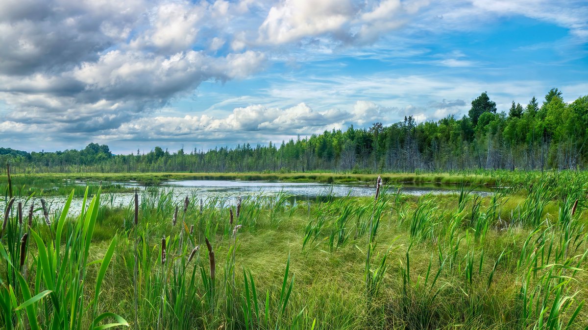 NRCS-Ohio tweet media