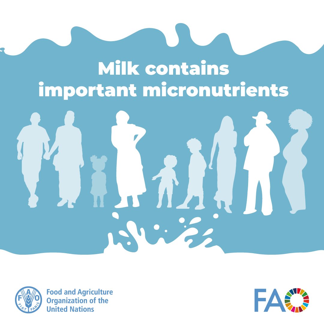 #DYK milk is rich in calcium and that calcium contributes to healthier bones 💪

For more #Milk benefits 👉 bit.ly/3PJWZSC

#WorldMilkDay