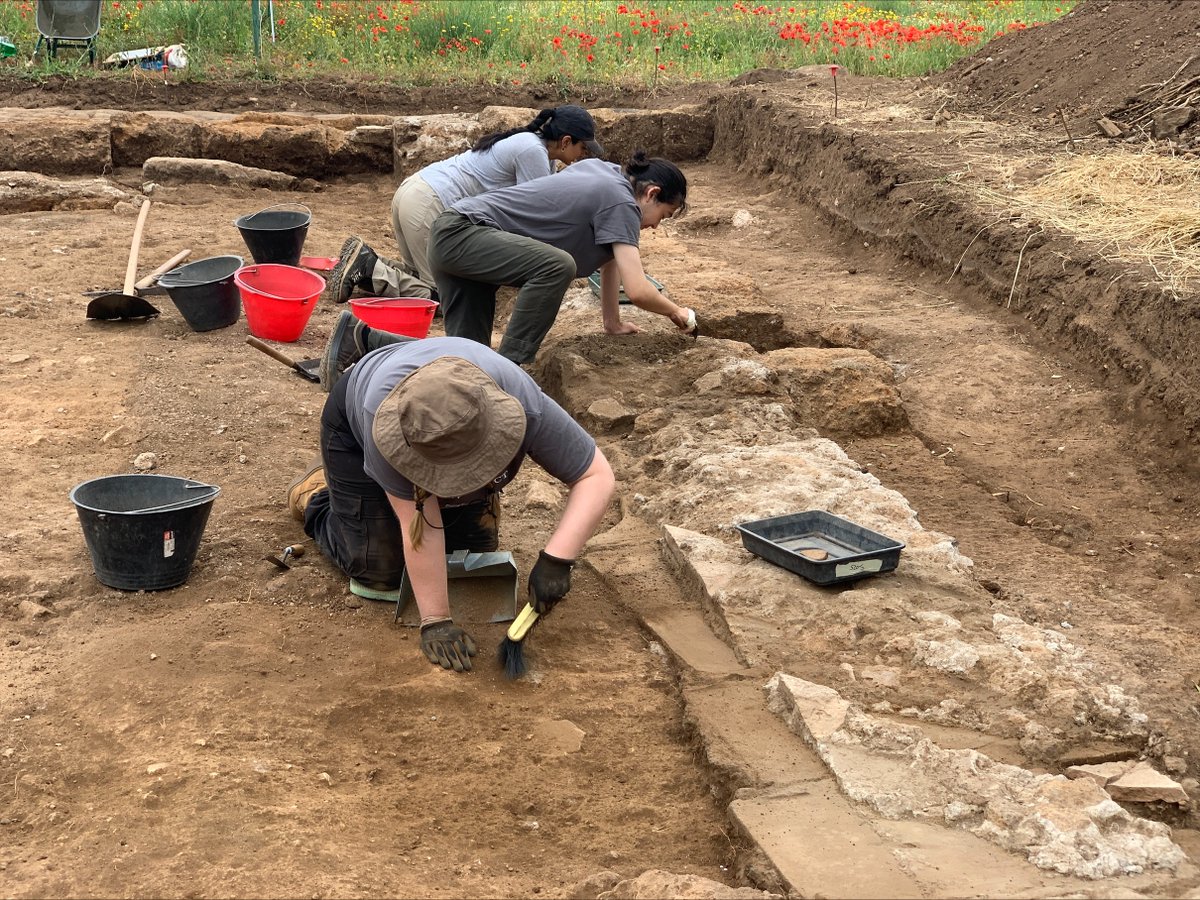 Excavations are underway at the ancient Roman town of Falerii Novi! ⛏️ Over 40 students/researchers from the UK and Europe are making new discoveries about the 2000-year old settlement. This week, the team uncovered the walls of a taberna (shop) and a well-worn road 👇