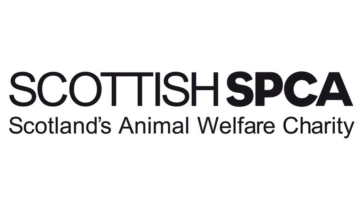 The @ScottishSPCA are recruiting 🐶

Full-time,  part-time or seasonal Animal Helpline Operatives in #Dunfermline 

Centre Manager in #Banchory 

Find out more and apply ow.ly/KqRl50S1K2y

#AnimalJobs #FifeJobs #AberdeenshireJobs