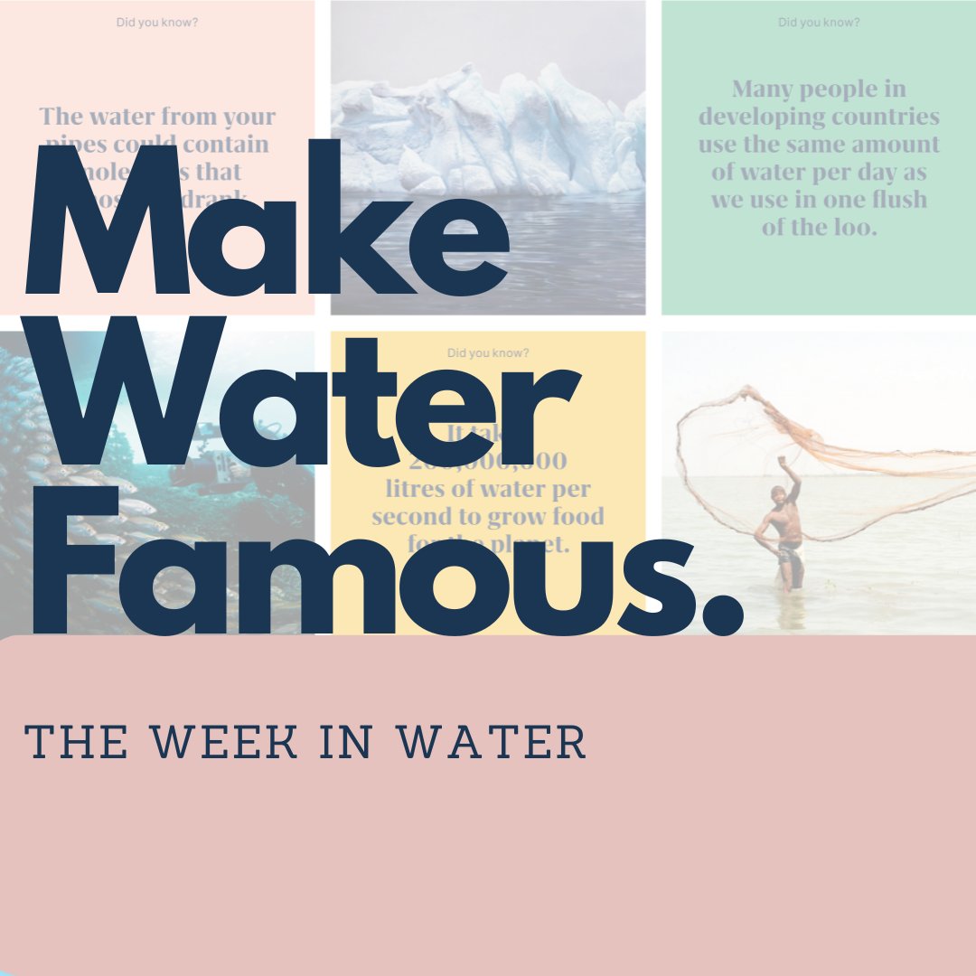 Make Water Famous tweet media
