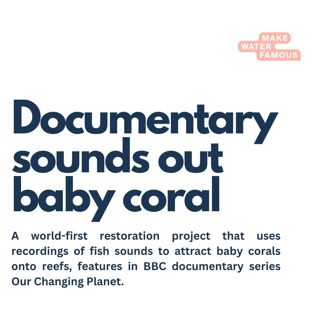 Want some #positive #news about #water and the #environment?

Check out the top news stories at MakeWaterFamous.com - they're sure to 'wet' your appetite 

 #PositiveNews #Sustainability #EcoFriendly #NatureLovers #GreenLiving #otters #coral #dance