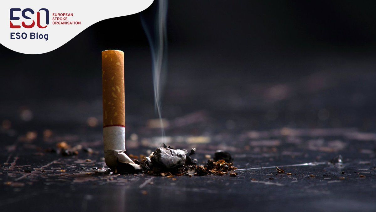 European Stroke Org (@esostroke) on Twitter photo It's World No Tobacco Day, initiated <a href="/WHO_Europe/">WHO/Europe</a>. In our latest #ESOBlog, <a href="/bciopleias/">Bogdan Ciopleias</a> discusses the vital link between smoking & #stroke. World No Tobacco Day is a crucial platform to educate & advocate for tobacco cessation: ow.ly/aQPP50S3LYC
#tobaccoexposed #stroketwitter It's World No Tobacco Day, initiated <a href="/WHO_Europe/">WHO/Europe</a>. In our latest #ESOBlog, <a href="/bciopleias/">Bogdan Ciopleias</a> discusses the vital link between smoking & #stroke. World No Tobacco Day is a crucial platform to educate & advocate for tobacco cessation: ow.ly/aQPP50S3LYC
#tobaccoexposed #stroketwitter