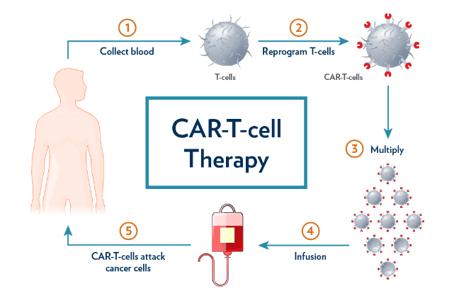 Immaginate di prelevare delle cellule dal vostro sangue 

Immaginate di istruire quelle cellule e di re inserirle nel sangue

Ora quelle cellule possono combattere tumori o malattie autoimmuni

Tutto questo succede già oggi ed è incredibile