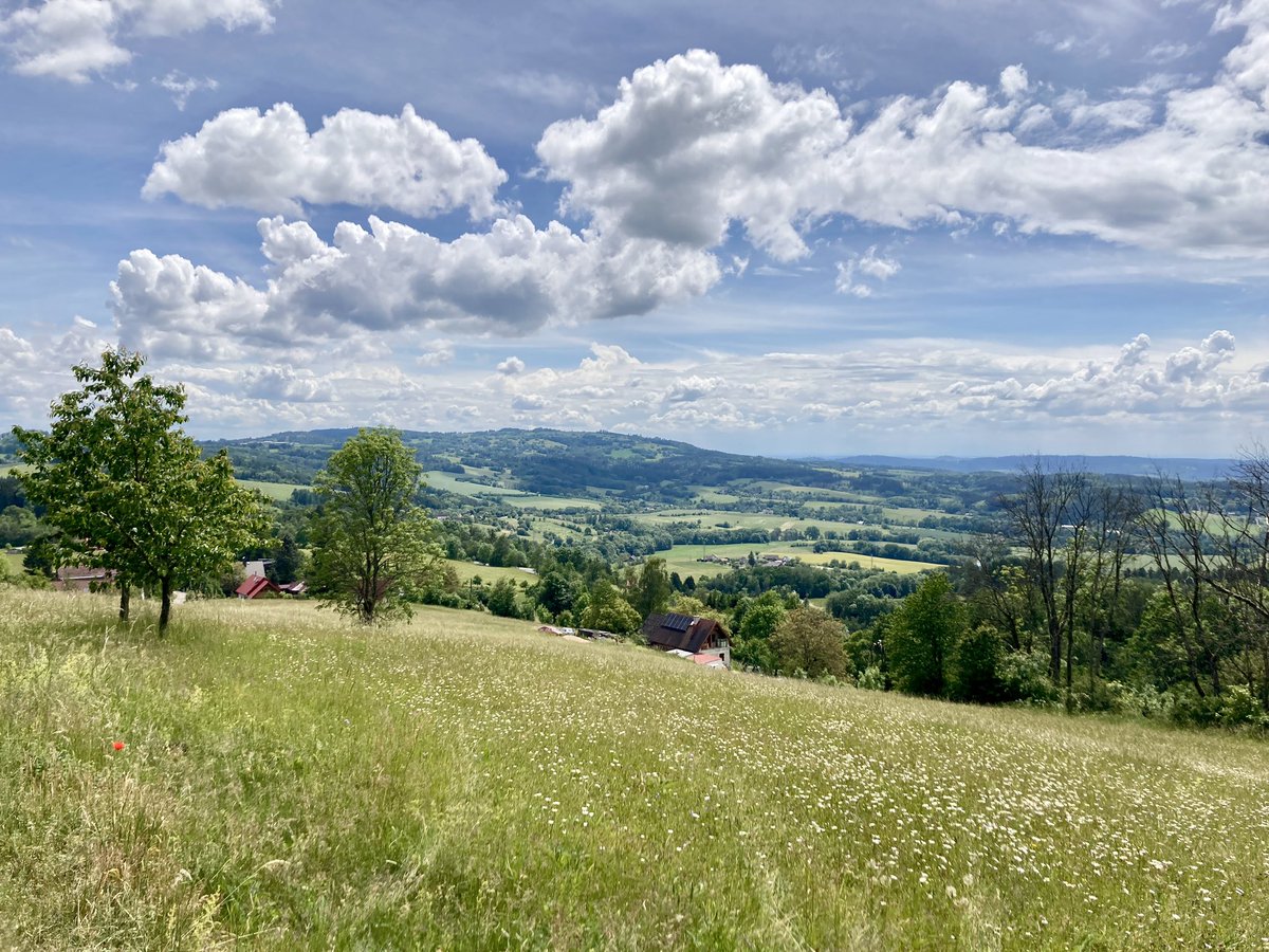 ludek_svoboda's tweet photo. quick release #kozakov #trailrunning #mraky https://t.co/gj6xzOXLxr