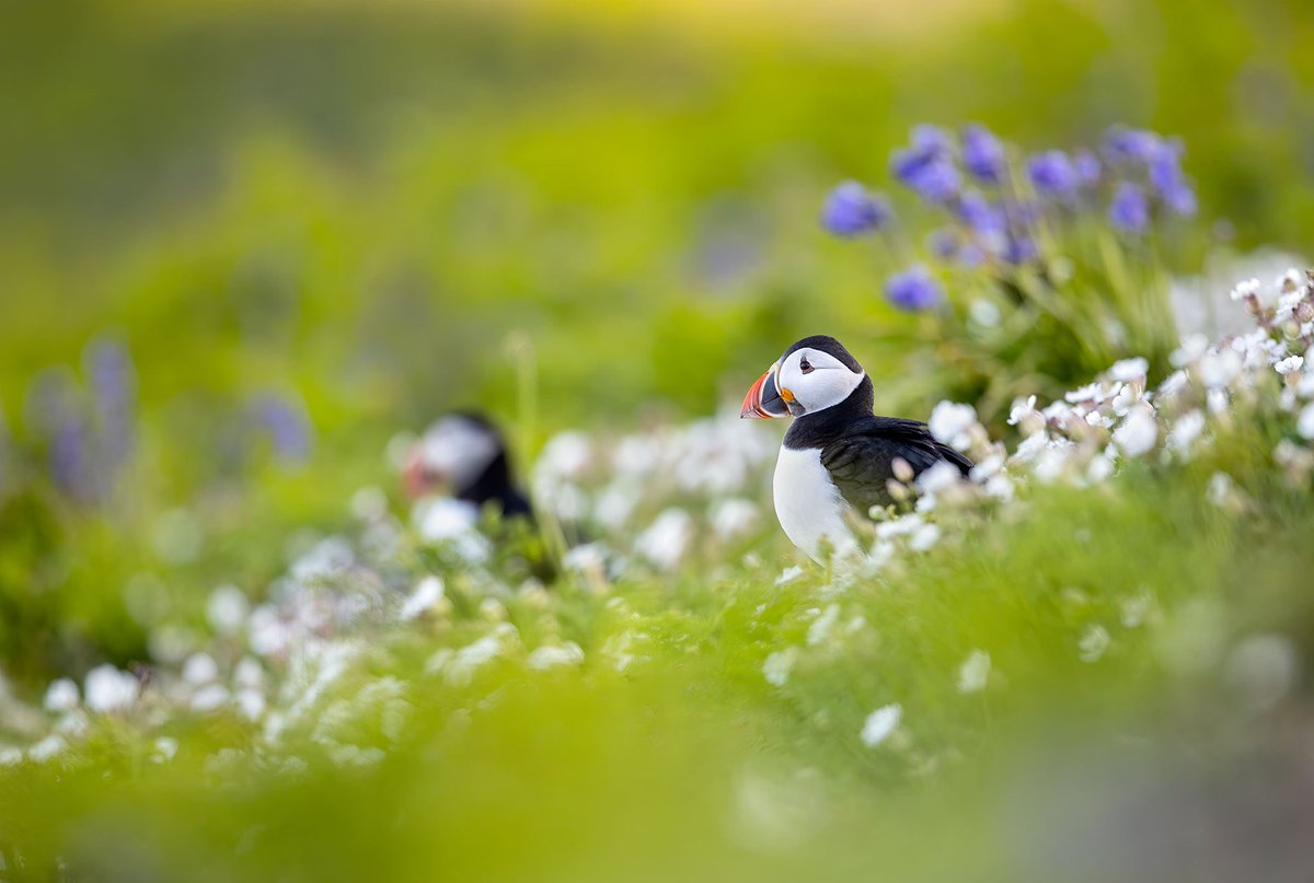 Lewis Pugh tweet media