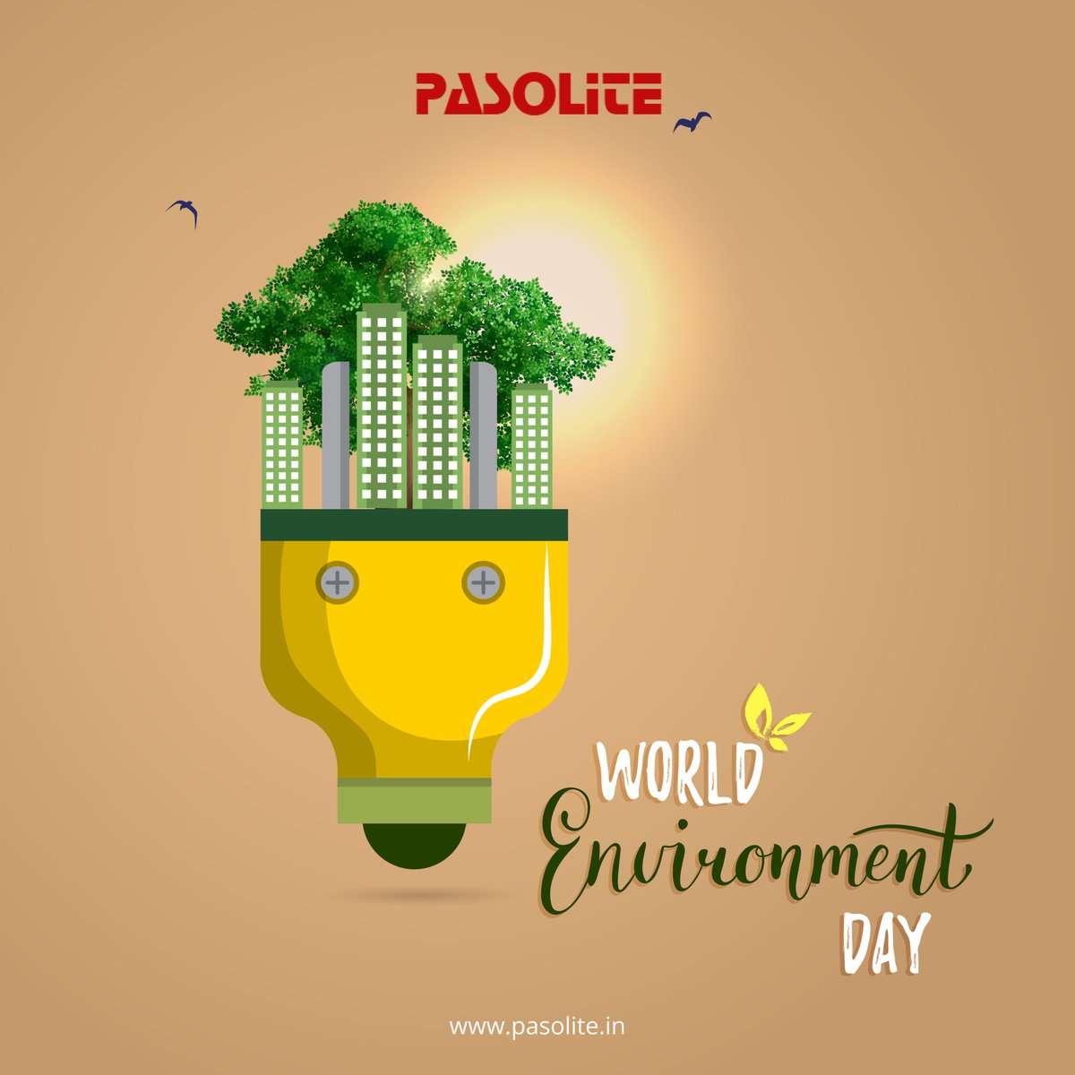 🌍 Happy Environment Day! 🌿 Let's join hands to protect and nurture our planet. 🌱

#Environmentday #Ecoday #ecofriendly #savetheplanet #Pasolite #Lightingstoresinindia