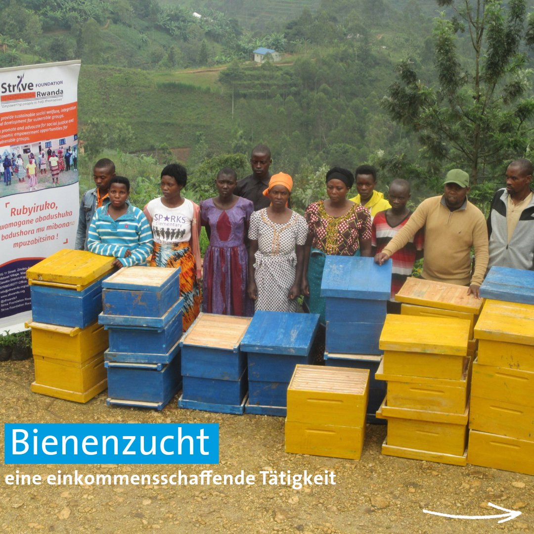 HHN_eV's tweet photo. Seit 2019 unterstützt unser lokaler Partner @Sfrwanda1 Jugendliche aktiv in der Bienenzucht. Sie stattet die Kooperative mit Imkereimaterial aus und unterstützt sie in der Verwaltung, sodass sie eine einkommensschaffende Tätigkeit aufbauen können. https://t.co/3uLsyMmkO7