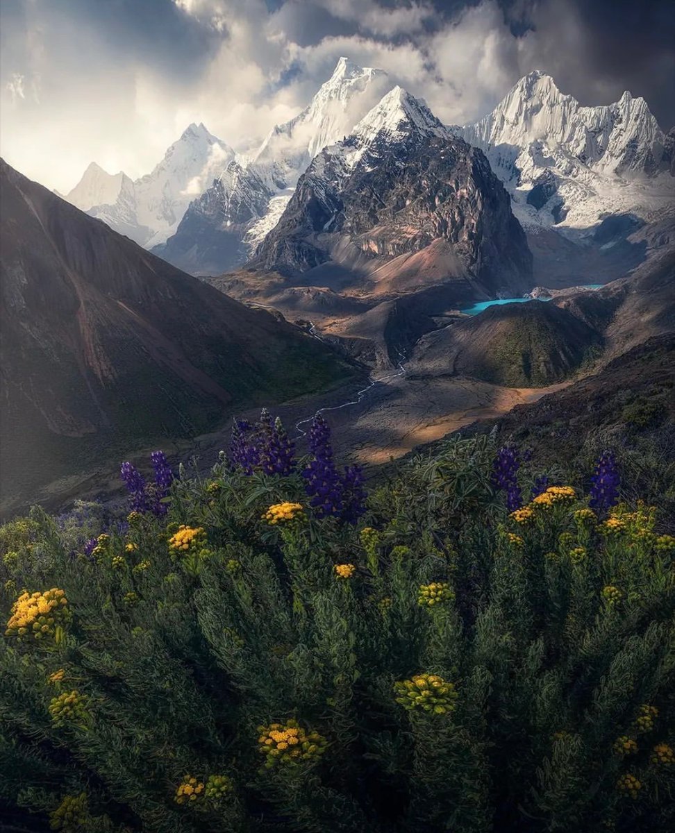 Springtime in the mountains of Peru ☀️🍃