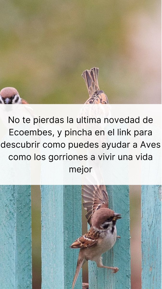 ¡No te pierdas la ultima novedad que hemos publicado en nuestro Facebook con la ayuda de @ecoembes! En la que te damos las claves de como ayudar para que sobrevivan miles de aves, y para que reciclemos los envases que usamos: facebook.com/AEnkomer?local…