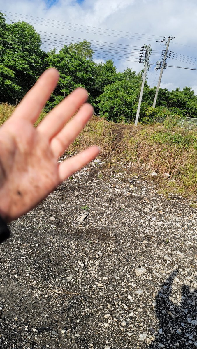 サービスカー取りに、近道したら土手でこけた(*T^T)
明日は正規ルート通るぅ💦
#雨上がりの土手は滑るね…
#toyotires
#wisteria
#carmodifywonder
#saitorollcage 
#中村屋
#nakamuraya
#180sx #sr22vet
#d1lights