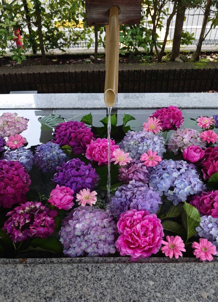 桜神宮の
花手水の紫陽花が色鮮やかで
美しい。
四季の花には趣きがあるな…🌙