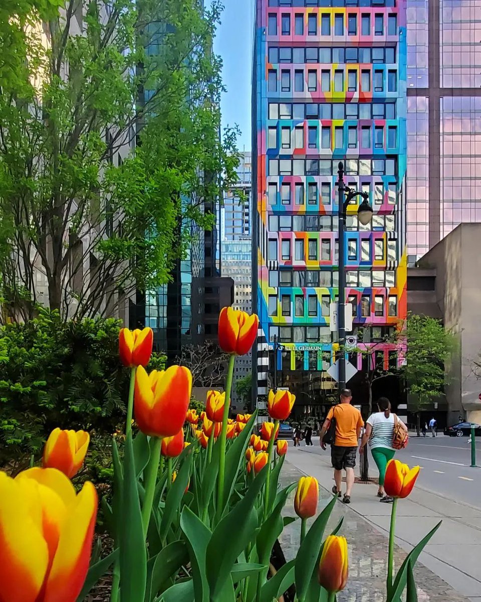 Palette de couleurs urbaines 🌷🎨 📷 xavi007_photography #Montréal #MTLmoments #PhotoduJour