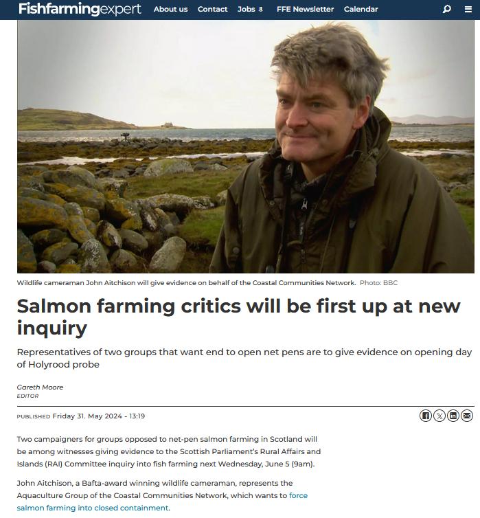 Salmon farming critics will be first up at new inquiry - @WildFishCons 'is demanding the closure of all open-net salmon farms' @SP_RuralAffairs @CCNScotland @JohnAitchison1 @rspcaassured @LynneUSneddon @onekindtweet @ScotLINK @MairiGougeon @scottishgreens fishfarmingexpert.com/coastal-commun…