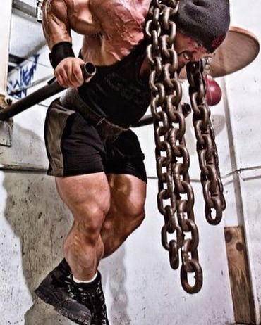 Josh Bryant tweet media