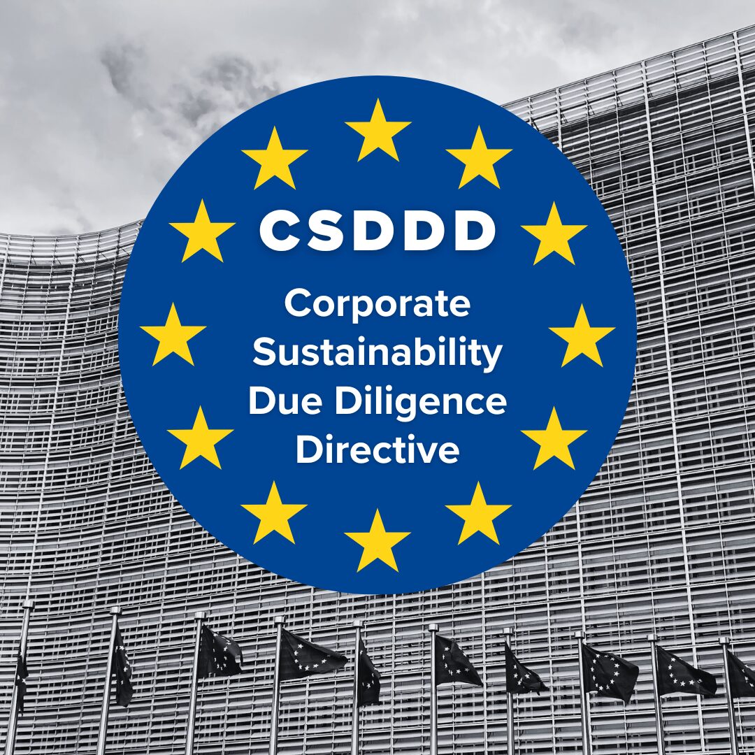 IDSN welcomes the newly adopted EU Corporate Sustainability Due Diligence Directive #CSDDD and the inclusion of caste discrimination as an important factor to address in corporate anti-discrimination and human rights compliance measures. Read more 👇
idsn.org/one-word-can-m…