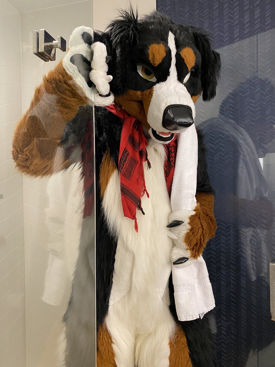 Wet dog? Nah, clean dog! Come and have a sniff. #FursuitFriday
🪡 <a href="/TwinkyArts/">Twinky Arts✨</a>