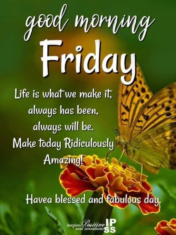 JaxBeachLady222's tweet photo. @w_terrence Good Morning Terrence! 🌞🌅😎🌴🙏💞
#NothingStaysTheSame
America is becoming the Best She Can Be! Keep the Faith! 🙏🙏🙏 https://t.co/SIHb6ZMTca