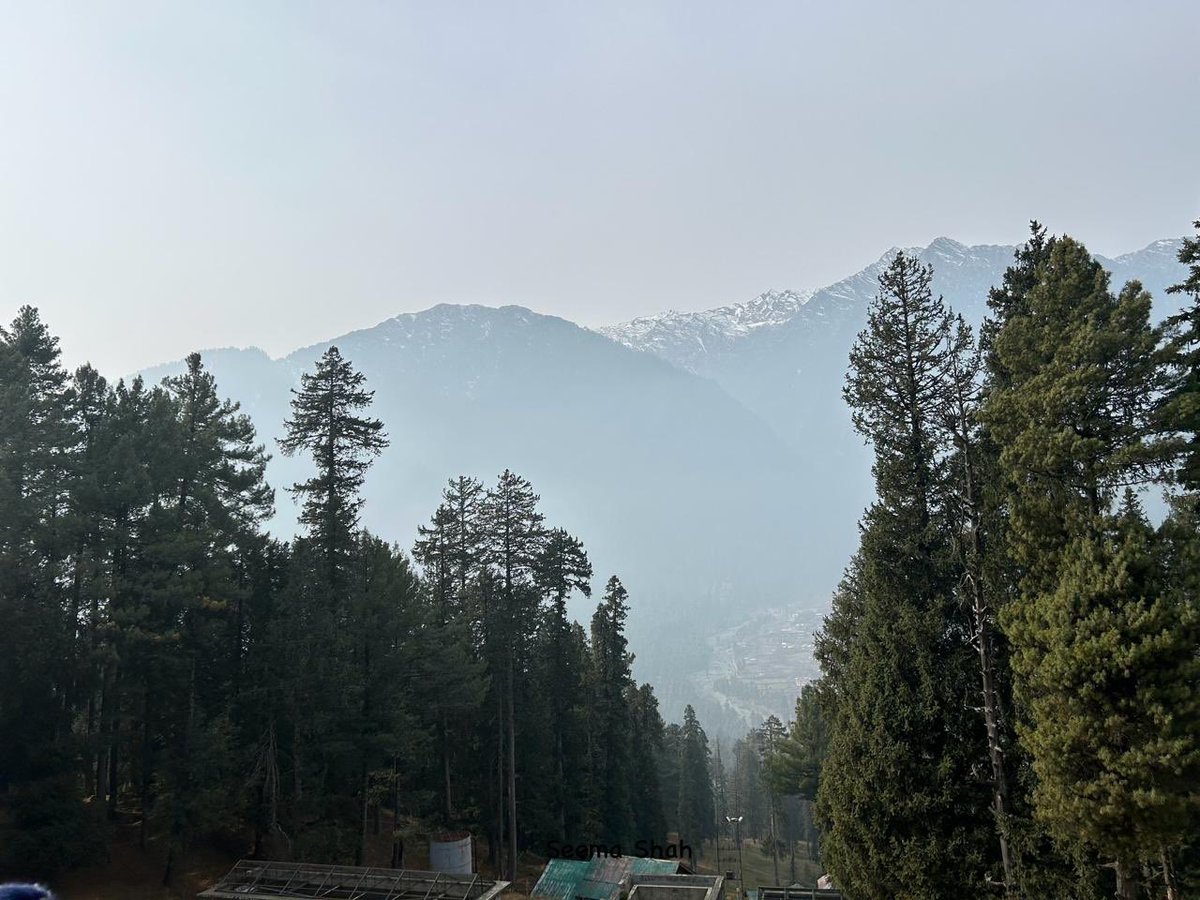 SeemaSh46712468's tweet photo. Drop something green from your gallery 

#Theme_pic_India_green 
#mandysart
#Kashmir
#Pahalgav https://t.co/jdIzrTGFAi