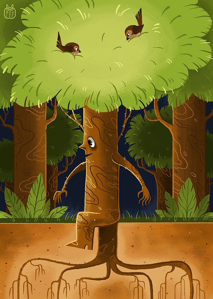 Tegoroczny ilustragan o tematyce botanicznej  - kalina koralowa i zalesianie