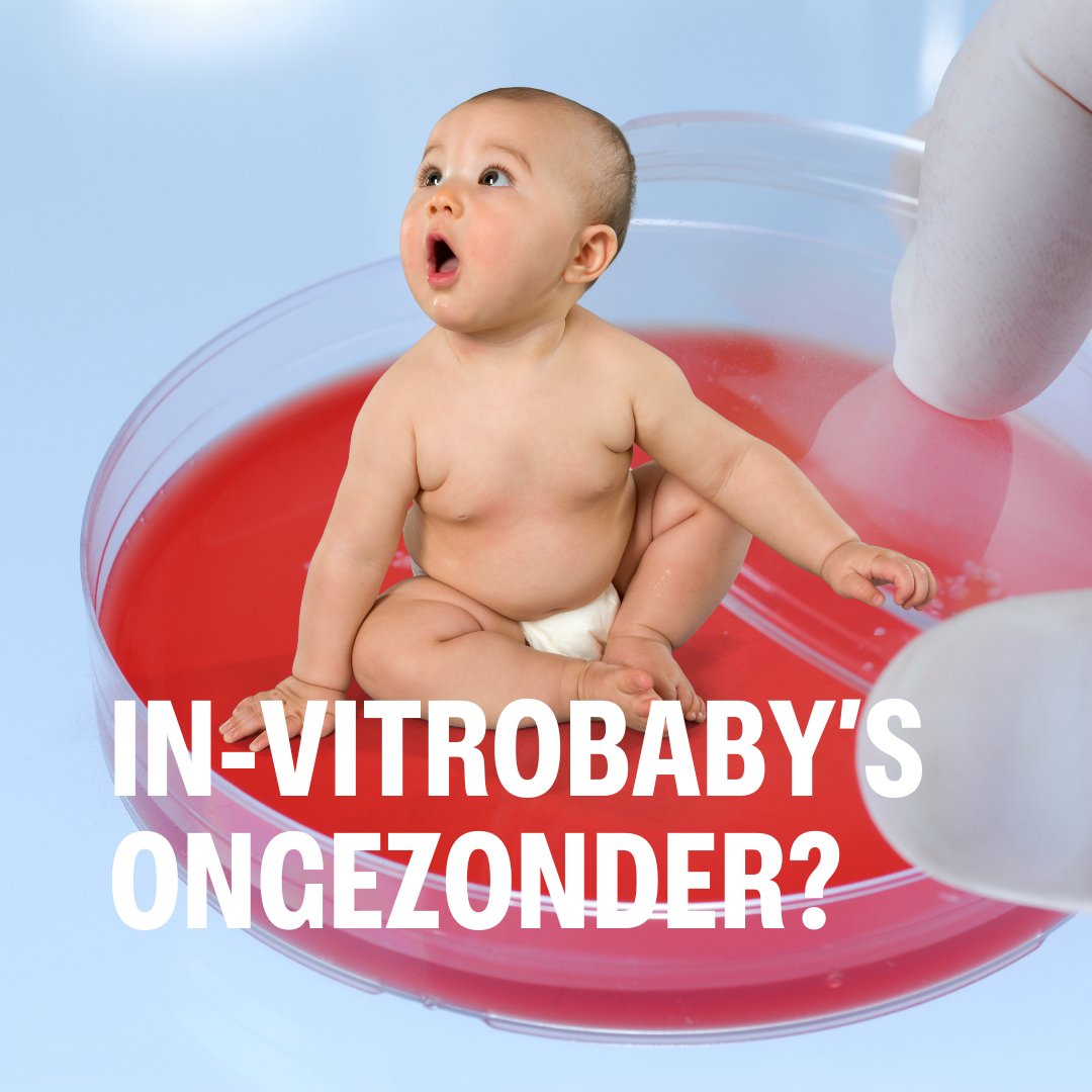 In-vitrokindjes zijn gemiddeld kleiner dan kinderen die natuurlijk verwerkt worden. En dat is niet ideaal. 🧫👶 @ClaudiaSpits (@VUBrussel) ontdekte hoe dat komt en wat daar misschien aan gedaan kan worden. Beluister haar uitleg hier: spotifyanchor-web.app.link/e/mN5l54FD2Jb #uvvl #invitro