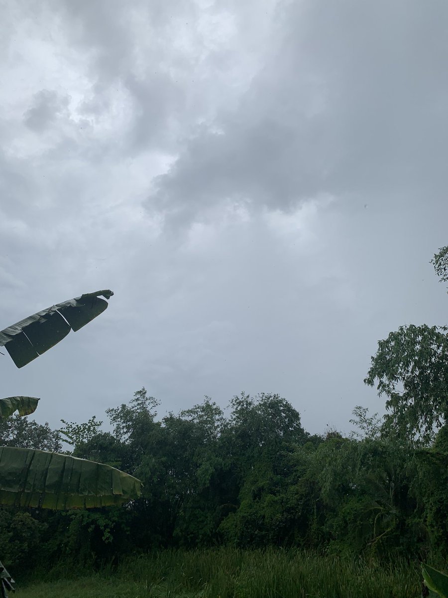 cannatin1's tweet photo. ตังนานไม่ตกพอจะออกไปเอาของเท่านันและฝนตกฉำยังกับโกรธใครมาของข้าจะเสียไม่นิ🥴🥴 https://t.co/4MLOccDqhU