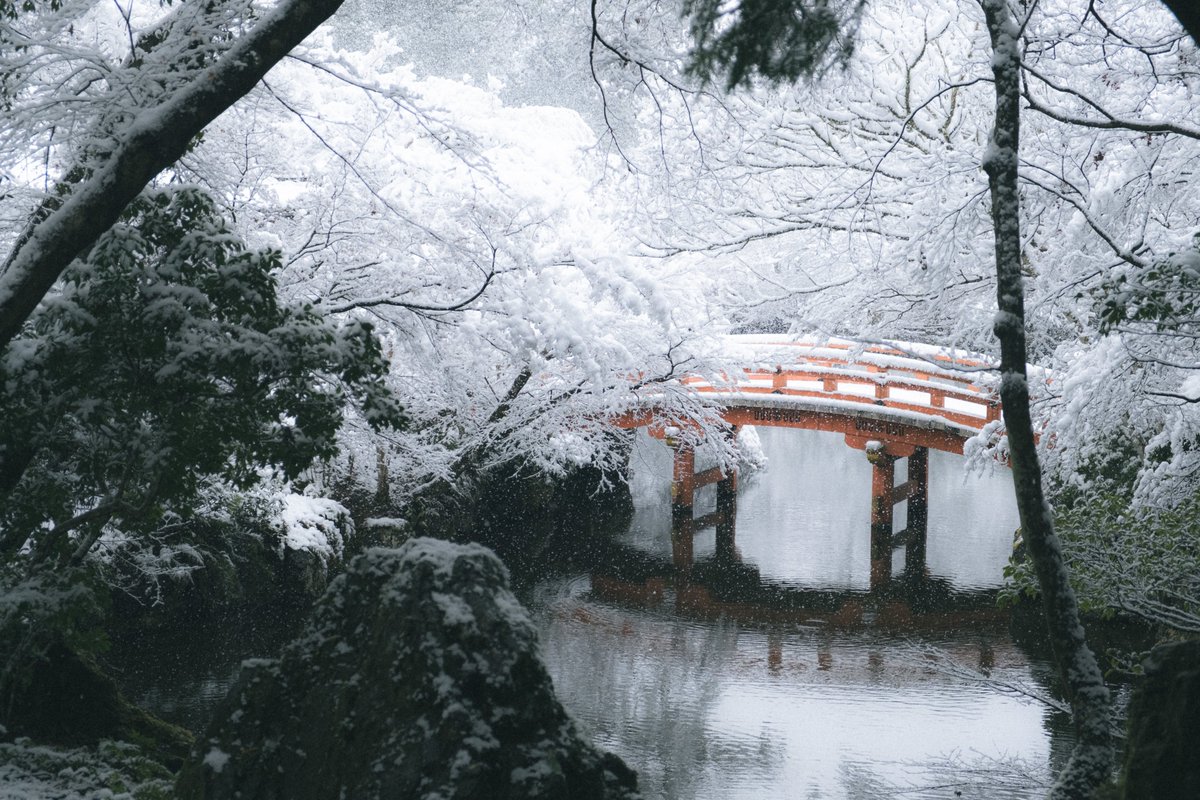 京都での一年。