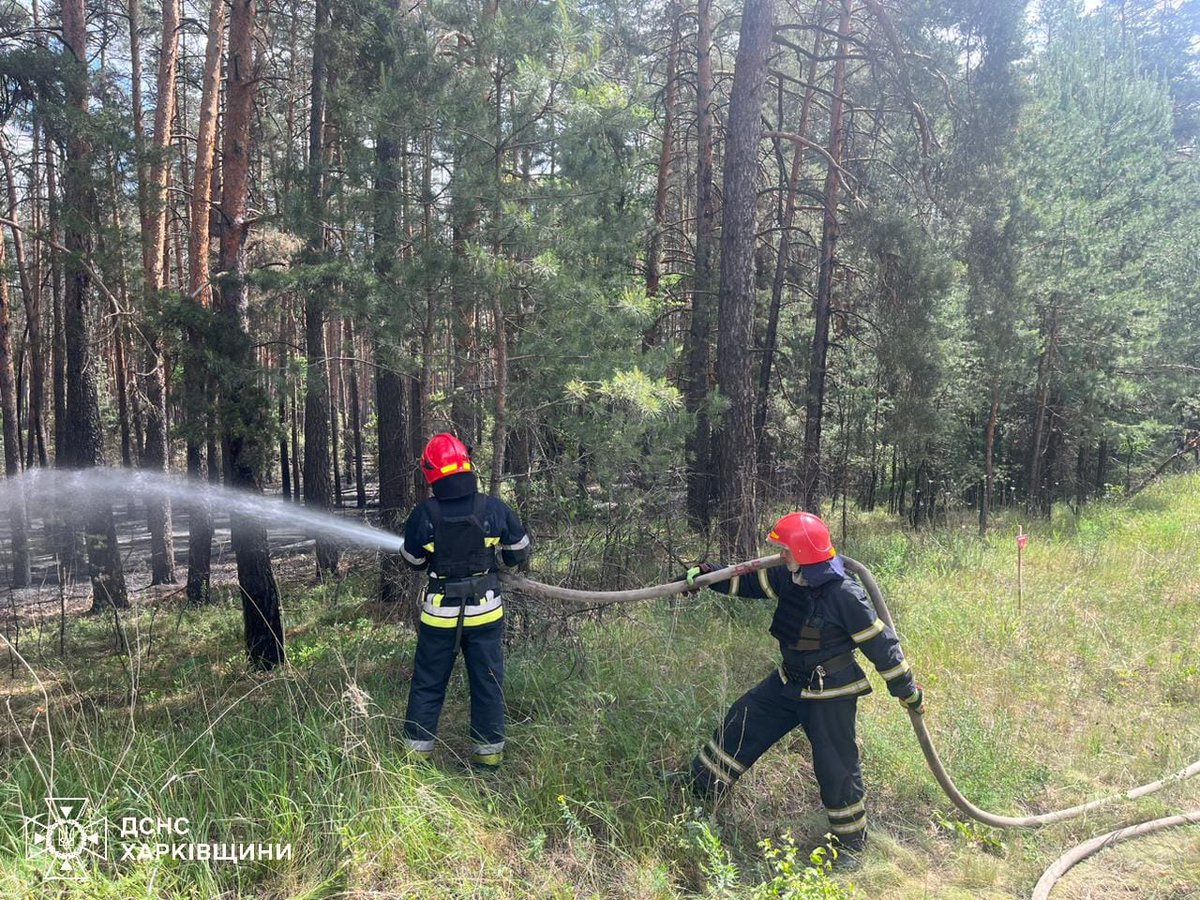 На Харківщині продовжують вирувати масштабні лісові пожежі Наразі на території області триває гасіння 14 лісових пожеж на загальній площі понад 3700 га. Ворог продовжує нещадно завдавати ударів по лісовим масивам, спричиняючи нові осередки загорань.